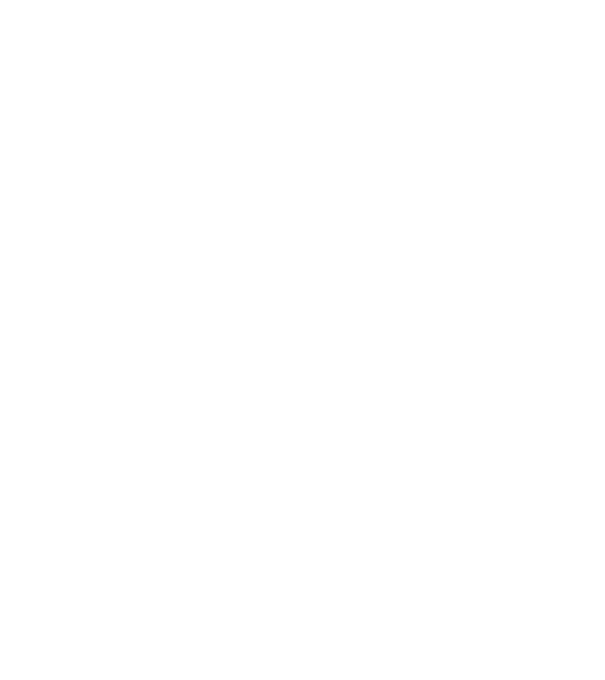 LOVE Havanese model turcoaz pe tricou