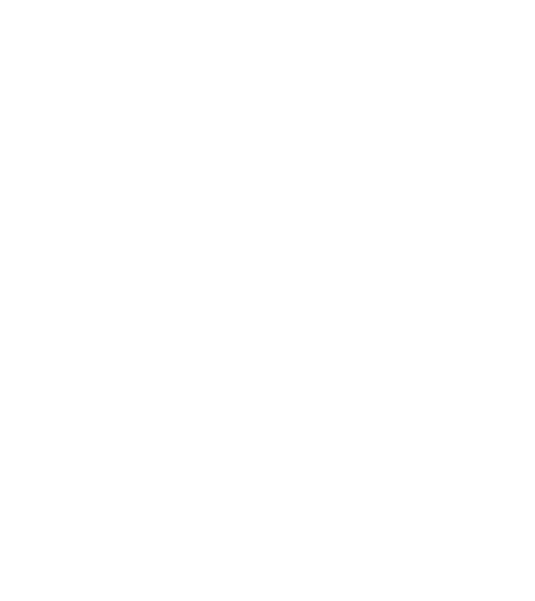 Regele - ceaunului! model negru pe tricou