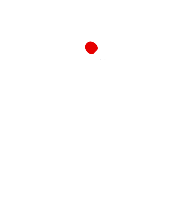 You just got served model gri pe tricou