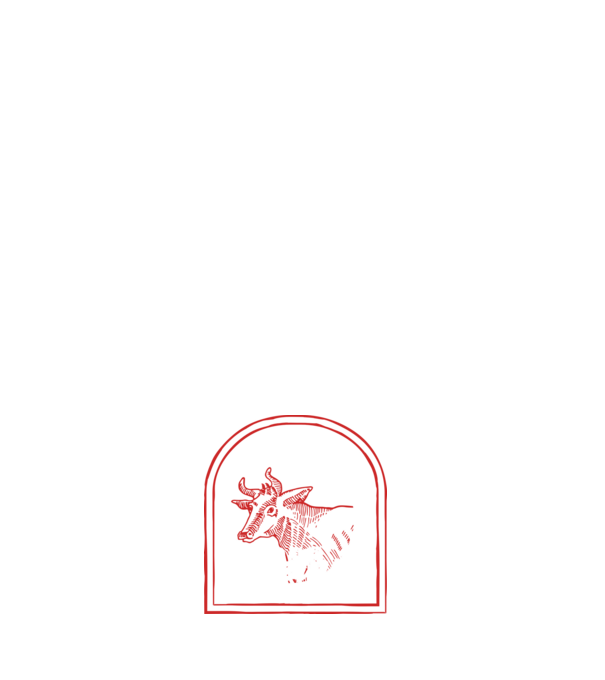 Festival BBQ - cu tata în grădina din spate! model albastru închis pe tricou