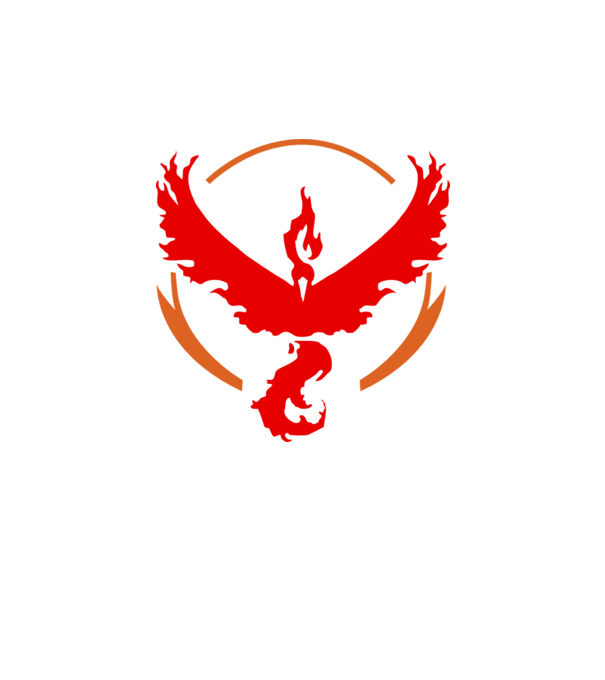 Valor team logo model alb pe tricou