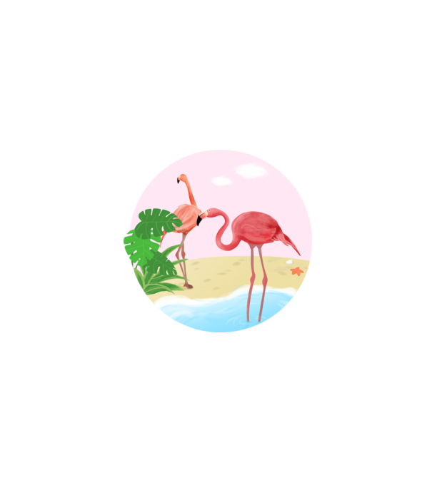 Flamingo model alb pe tricou