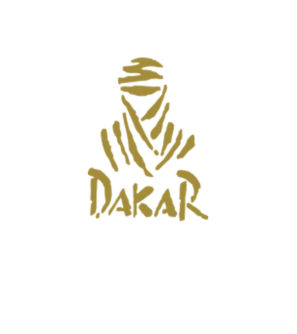 Dakar Rally model gri pe tricou