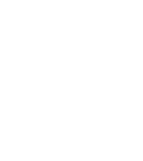 Freedom model gri pe tricou