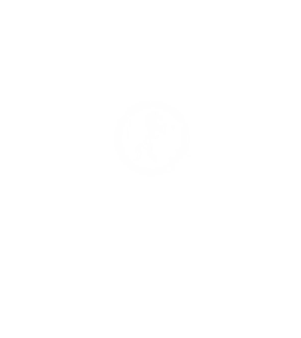 horse badge model negru pe tricou