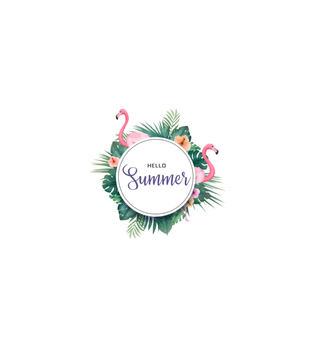 Hello summer model alb pe tricou