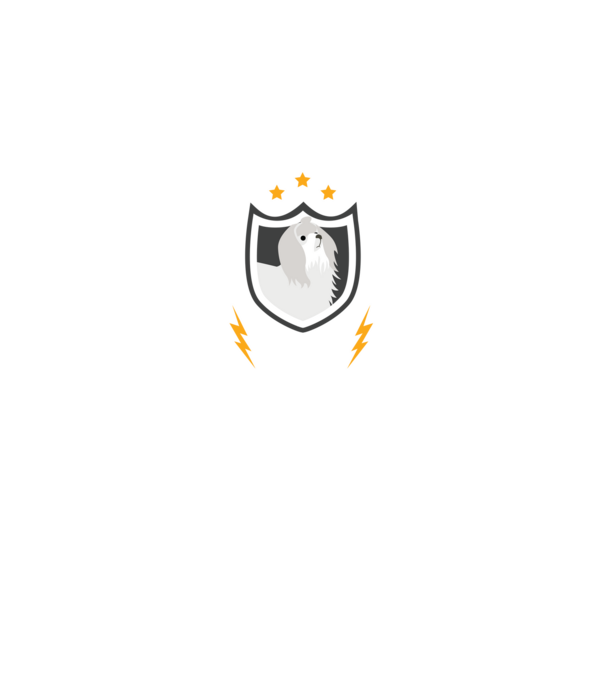 serviciu de securitate - securitate - persistență - 24 de ore pe zi model negru pe tricou