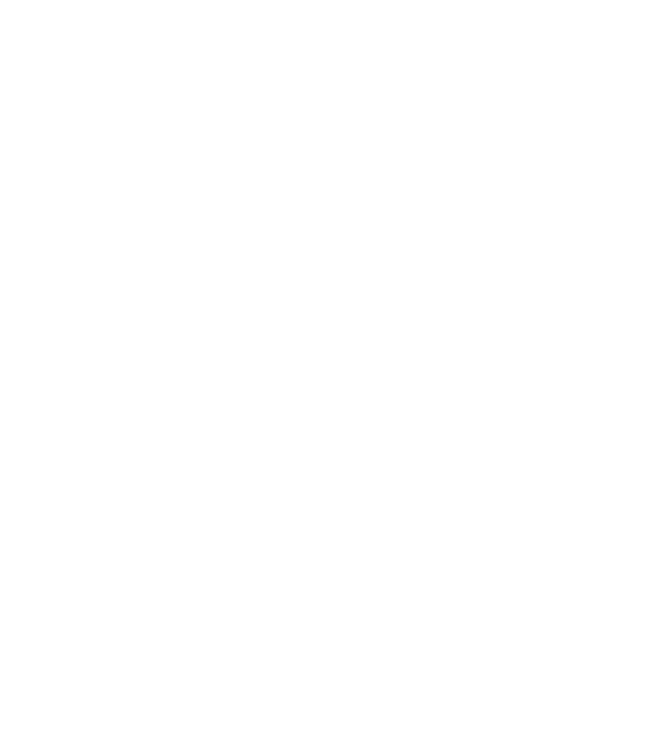 Cei mai buni călăreți sunt născuți în decembrie model negru pe tricou