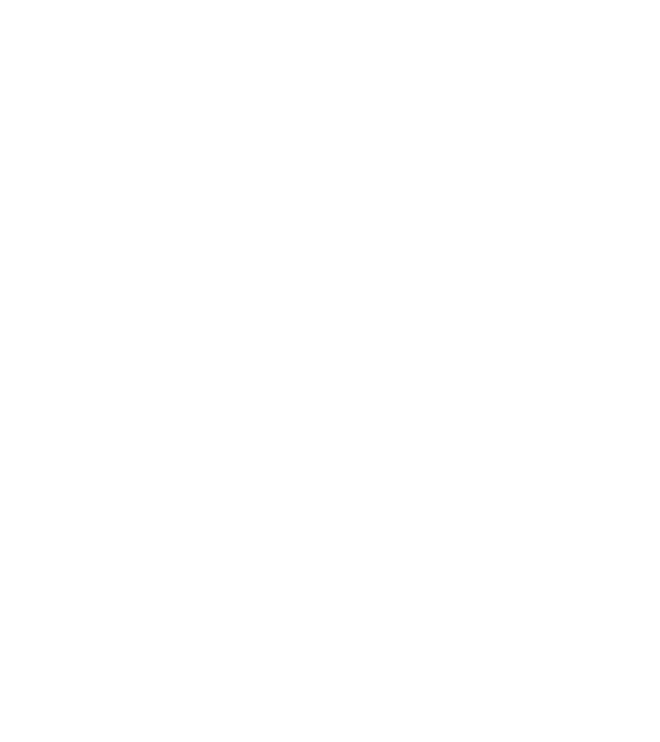 Zugravul model negru pe tricou