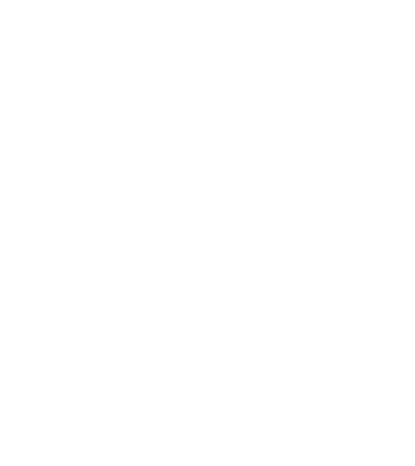 Dog Year - 140 model albastru regal pe tricou