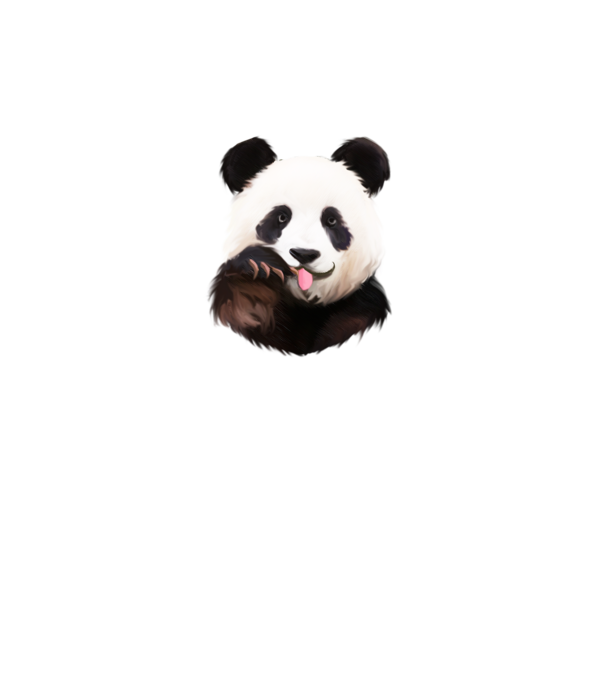 Panda face model turcoaz pe tricou