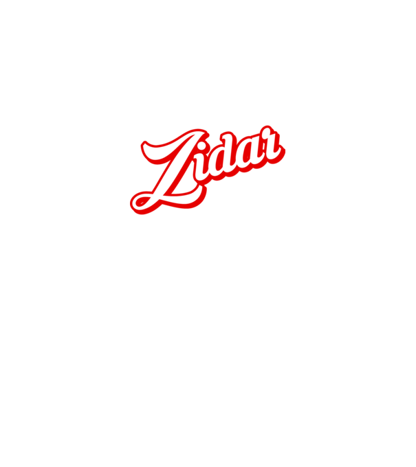 Cel mai bun ZIDAR din lume model negru pe tricou