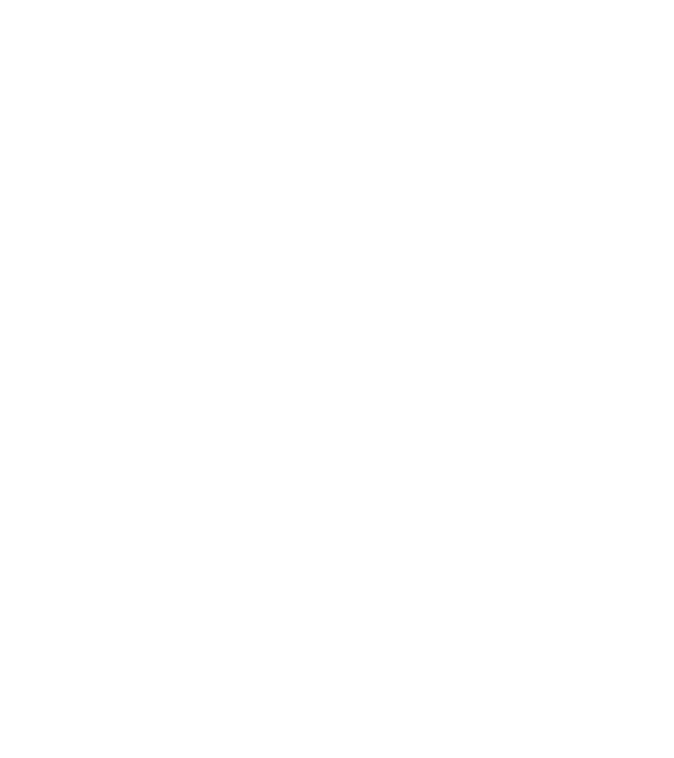 Clasă absolventă  model negru pe tricou