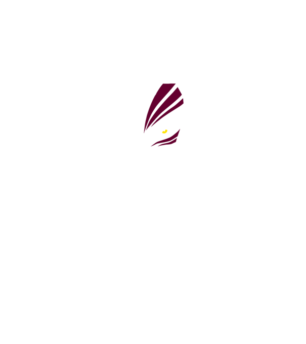 Ichigo Hollow Mask model gri pe tricou