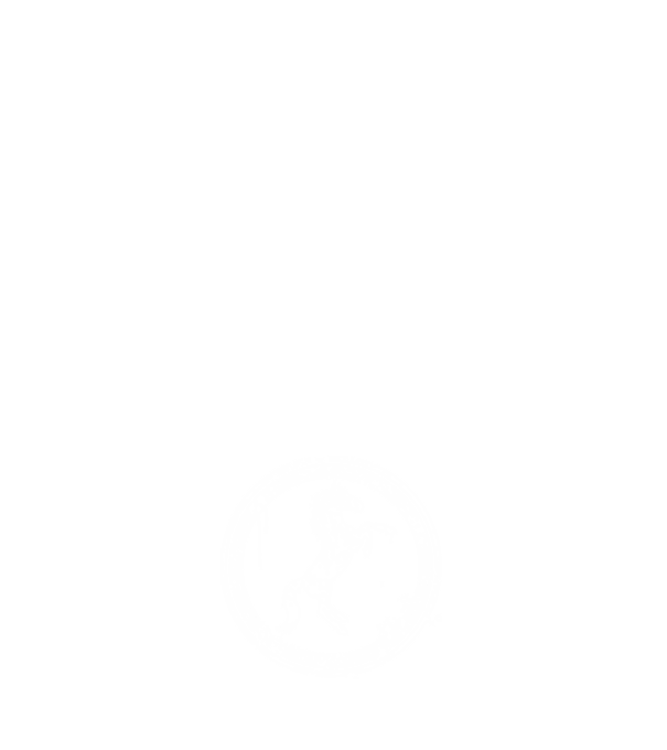 horse badge model alb pe tricou