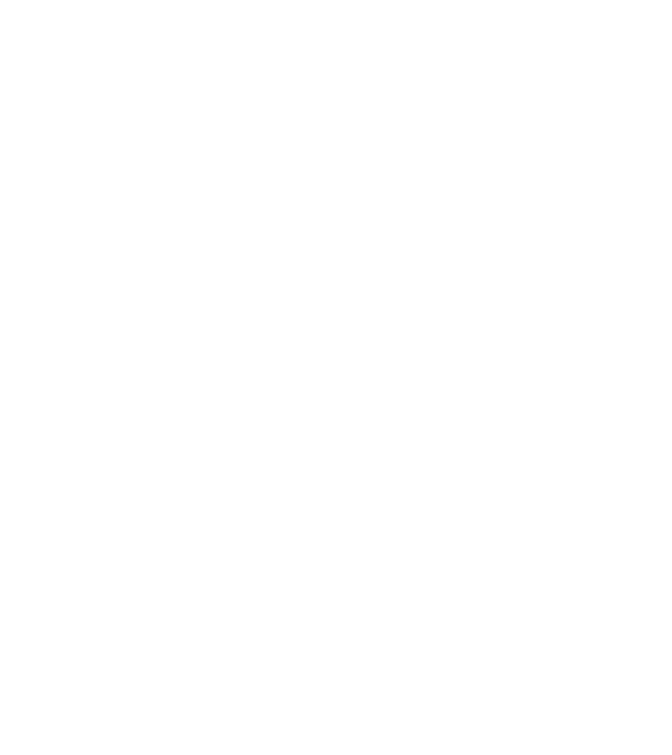 Walking dad model gri închis pe tricou