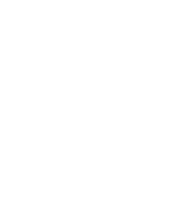 Camion 2. model turcoaz pe tricou
