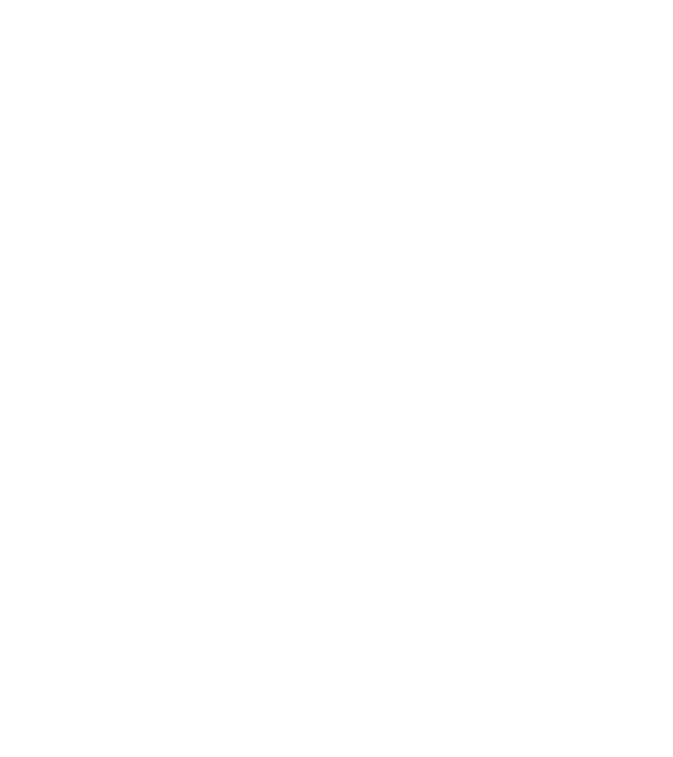 Regele - ceaunului! model negru pe tricou