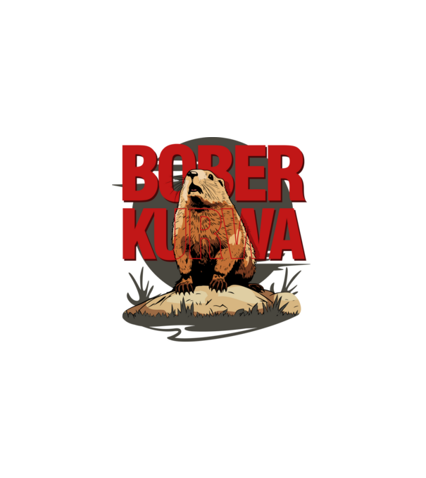 BOBER model negru pe tricou