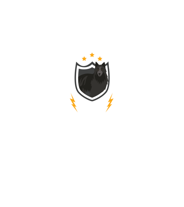 serviciu de securitate - securitate - persistență - 24 de ore pe zi model gri pe tricou