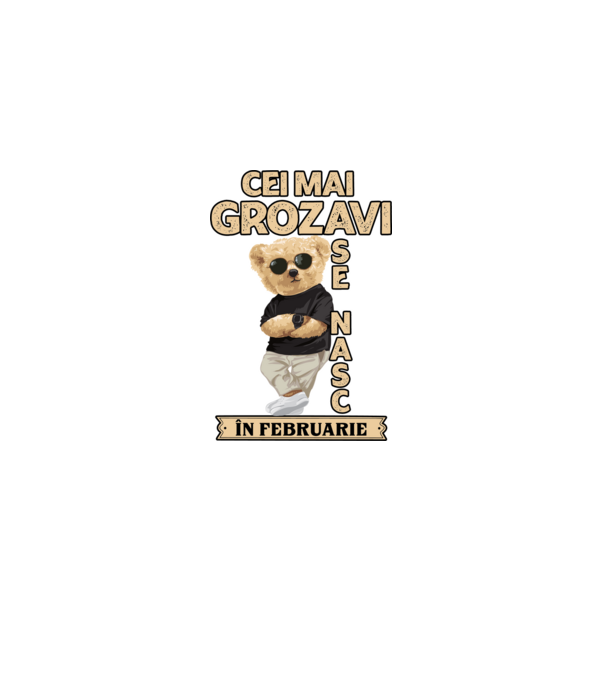Teddy cel cool februarie model negru pe tricou