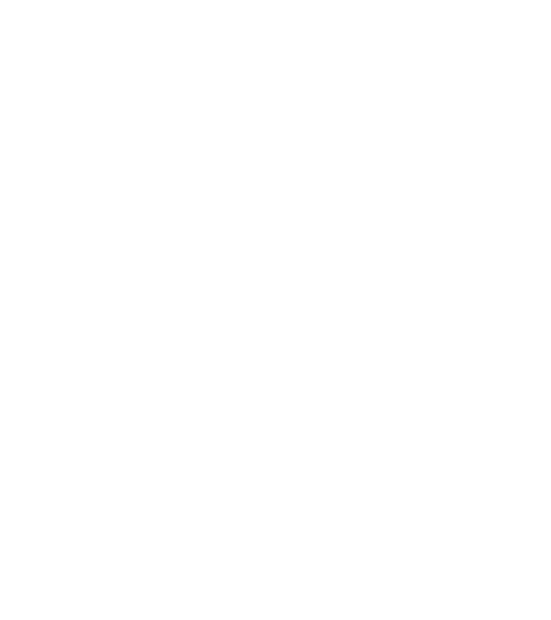 Vintage - 1947 model gri pe tricou