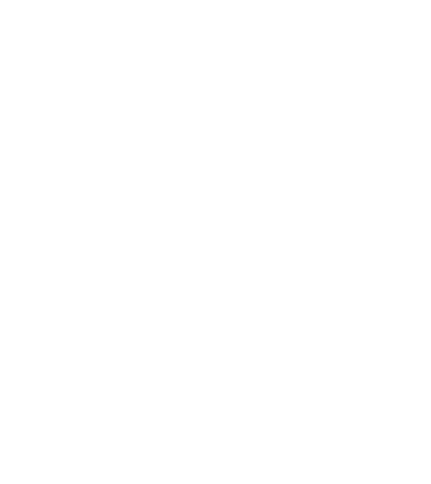 Freedom model albastru regal pe tricou