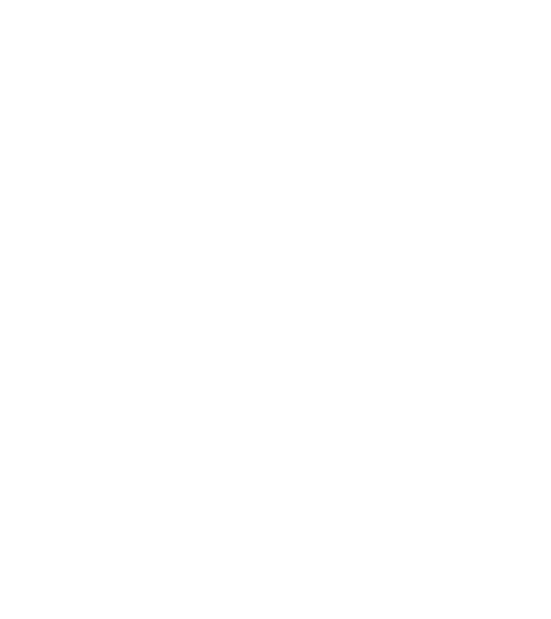 LOVE Border Collie model negru pe tricou