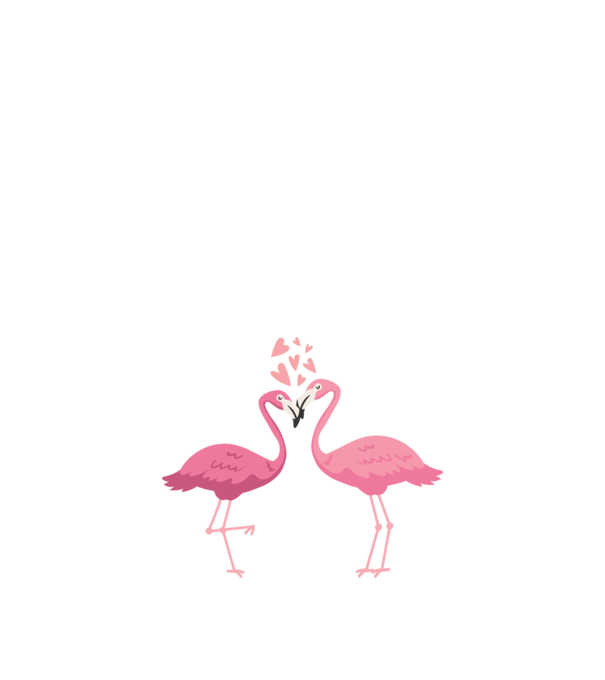 FLAMINGO ÎNDRĂGOSTIȚI model alb pe tricou