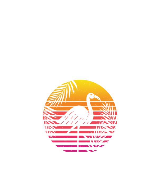 Retro flamingo sunset model negru pe tricou