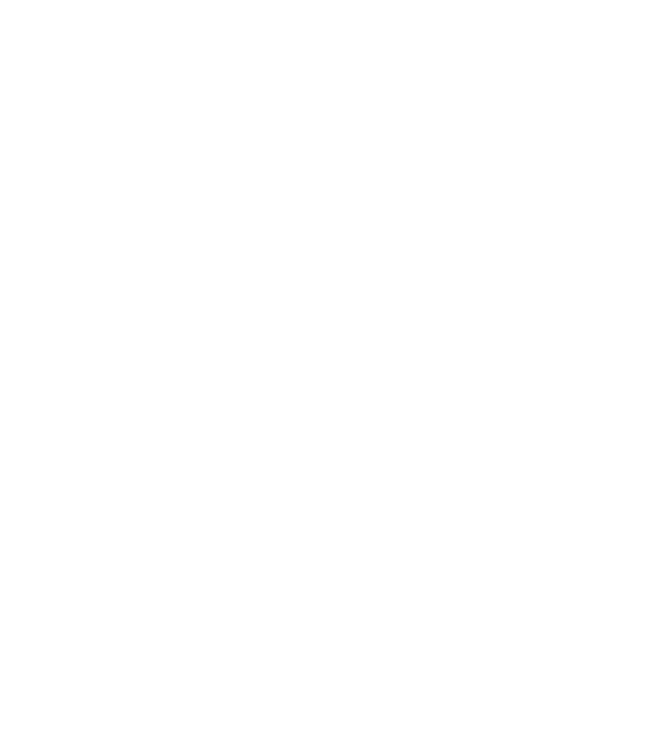 mama model bordo pe tricou