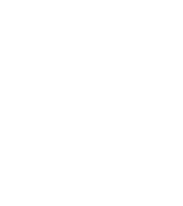 All men are created equal but only the best are born in february model negru pe tricou
