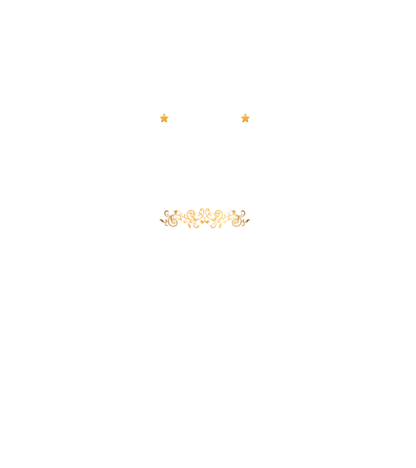 serviciu de securitate mireasă model gri pe tricou