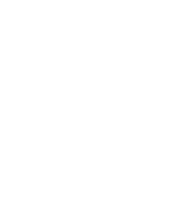 Regele - ceaunului! model negru pe tricou