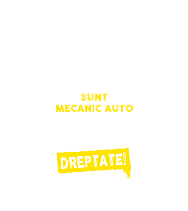 sunt MECANIC AUTO, pentru a economisi timp, să reținem că am întotdeauna dreptate model negru pe tricou
