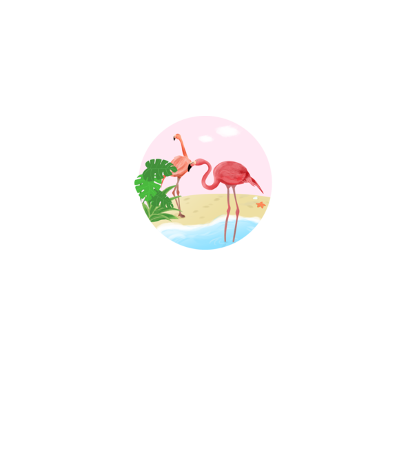 Flamingo model alb pe tricou