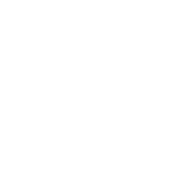 Crazy Cat Ladies are born in February model negru pe tricou