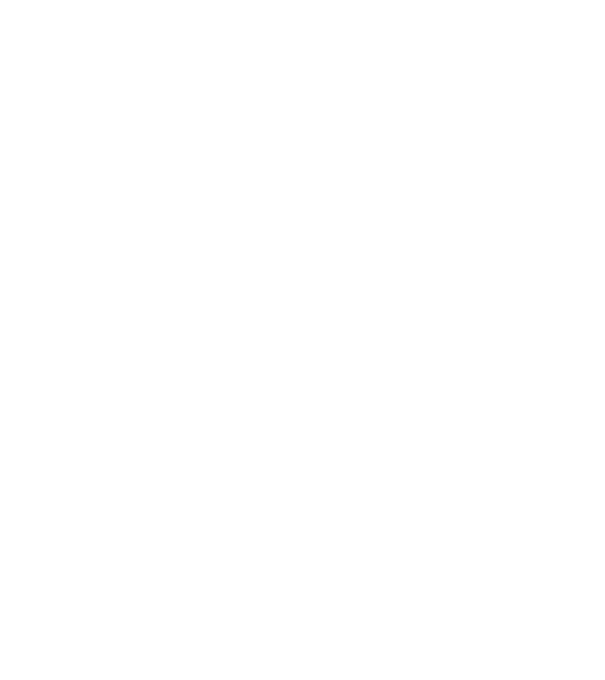 Zidarul model negru pe tricou