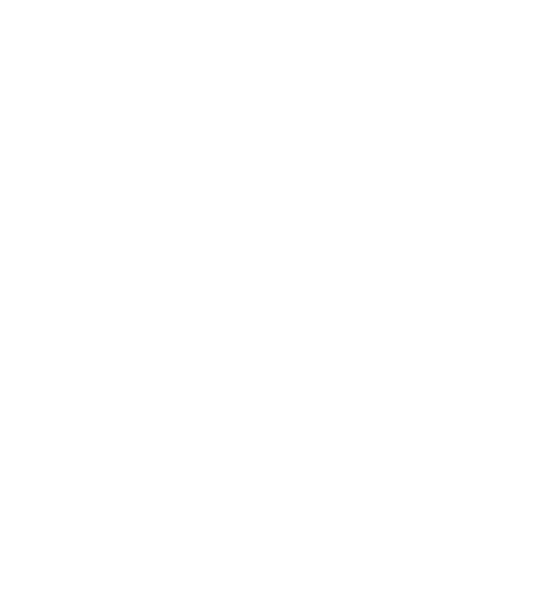 All men are created equal but only the best are born in november model negru pe tricou