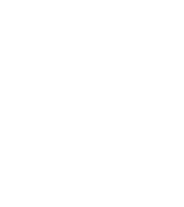 W.I.F.E. model gri pe tricou