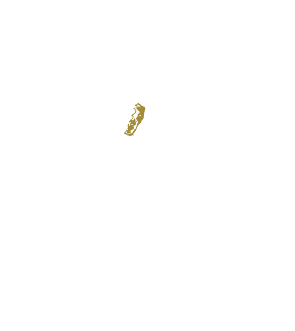 King in the north 2c model negru pe tricou