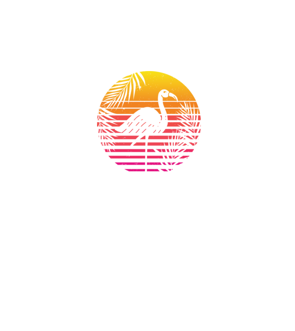Retro flamingo sunset model negru pe tricou