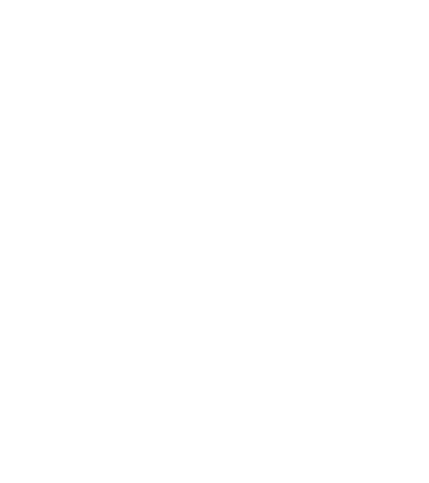 LOVE Pinscher model gri pe tricou