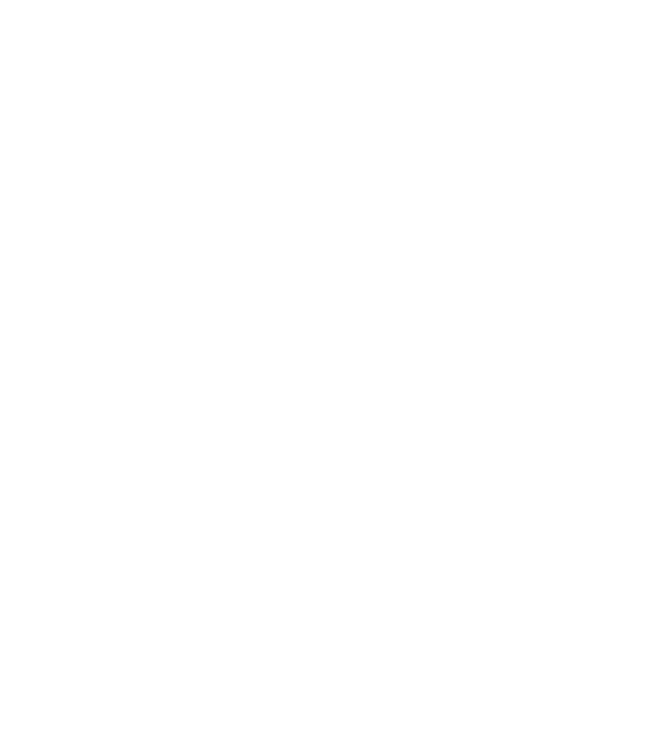 Crazy Cat Ladies are born in July model gri pe tricou