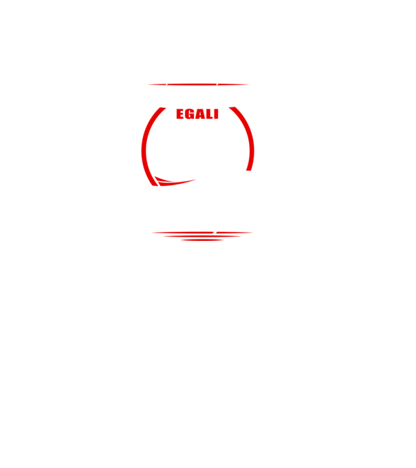 Toți bărbații se nasc egali faianțari model negru pe tricou