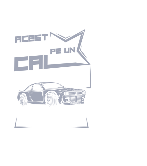 Acest prinț nu vine pe un cal alb, ci într-un BMW model negru pe tricou