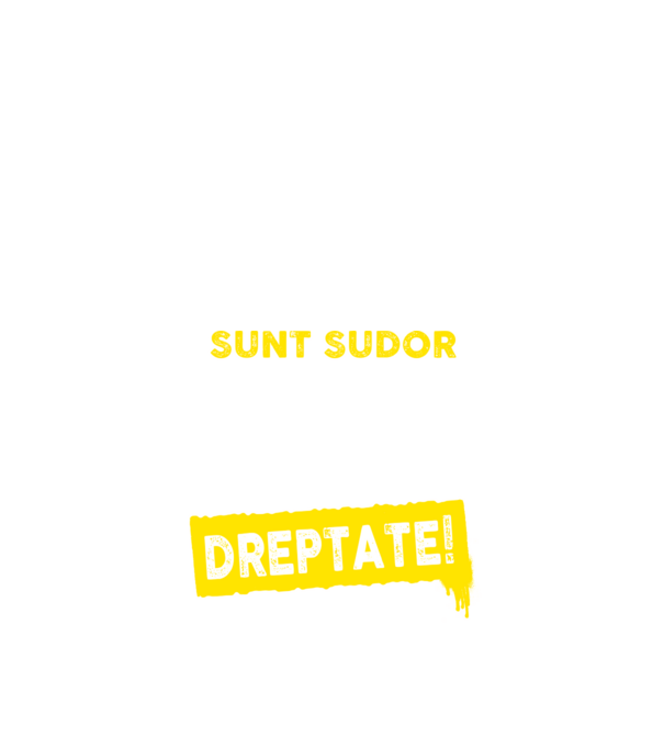 Sunt sudor, pentru a economisi timp, să reținem că am întotdeauna dreptate! model negru pe tricou