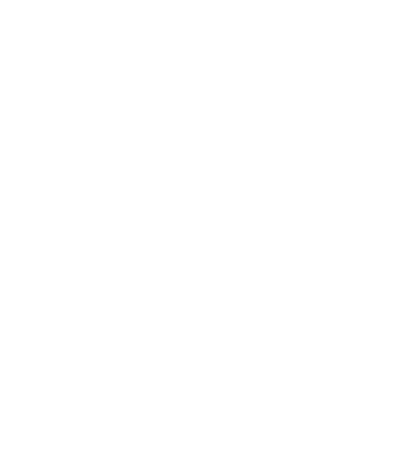W.I.F.E. model negru pe tricou