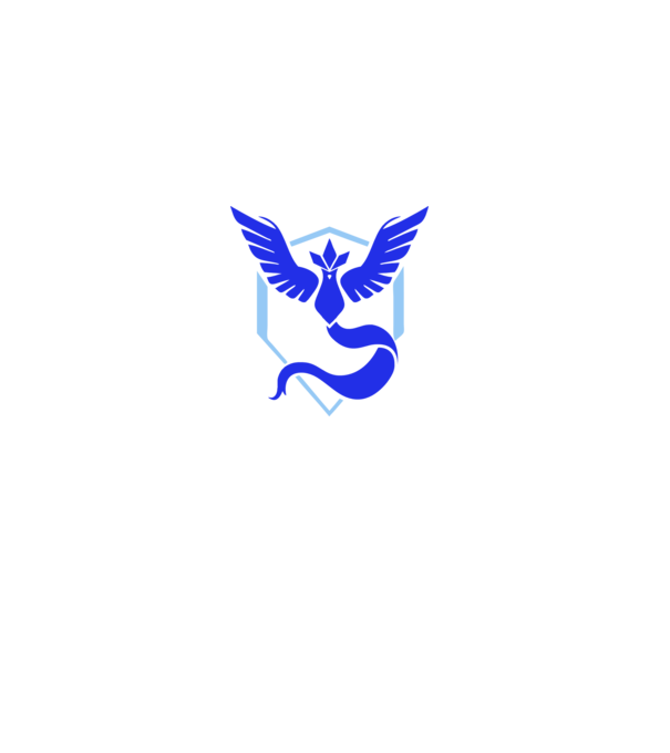Mystic team logo model gri pe tricou