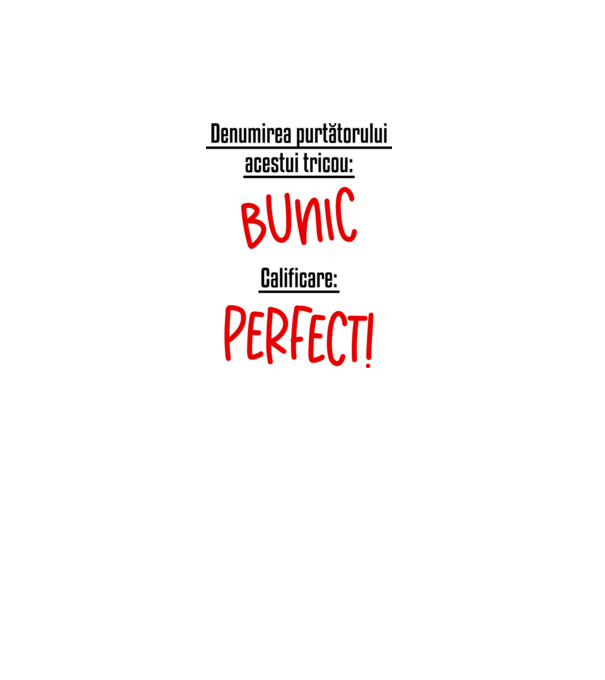 Denumirea purtătorului acestui tricou: bunic! Calificare: Perfect! model gri pe tricou